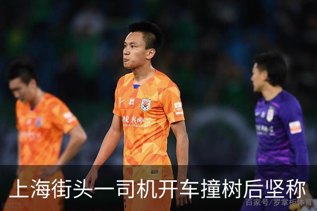 上海街头一司机开车撞树后坚称“树全责”，交警无语：树过来打你了？