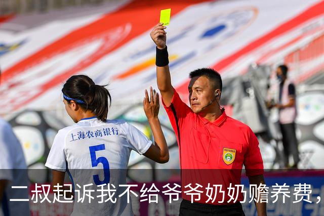 二叔起诉我不给爷爷奶奶赡养费，法官问我为什么不出钱？