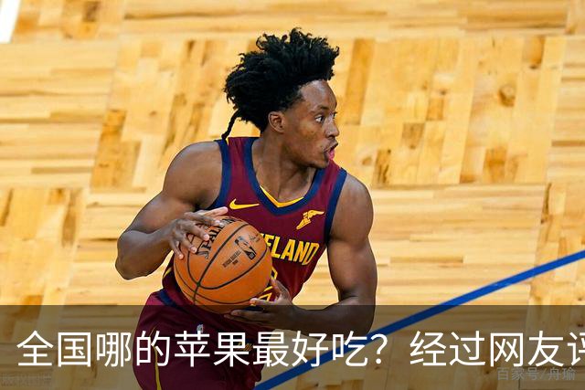 全国哪的苹果最好吃？经过网友评比，这6个榜上有名，有你家乡吗