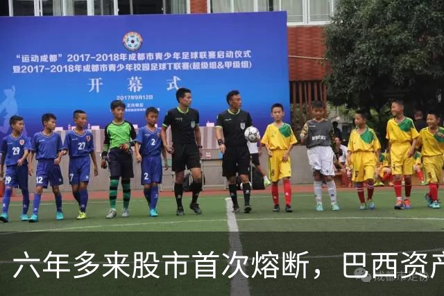 六年多来股市首次熔断，巴西资产遭全面重估