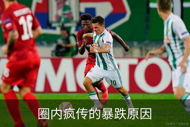 圈内疯传的暴跌原因