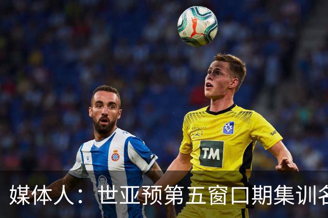 媒体人：世亚预第五窗口期集训名单已定，祝福他们