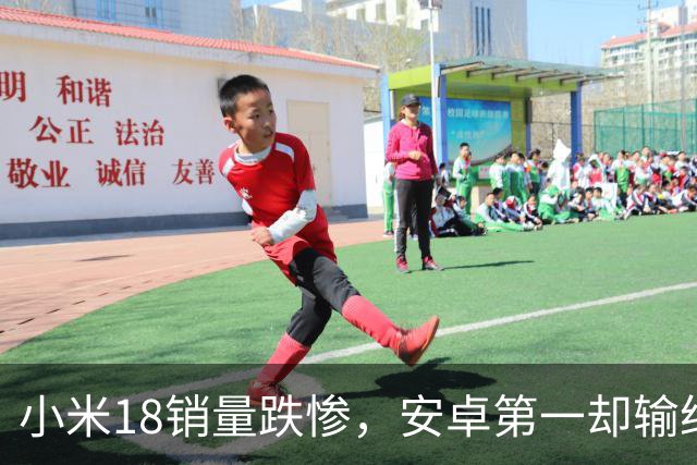 小米18销量跌惨，安卓第一却输给自家历史，这防窥屏真劝退用户了