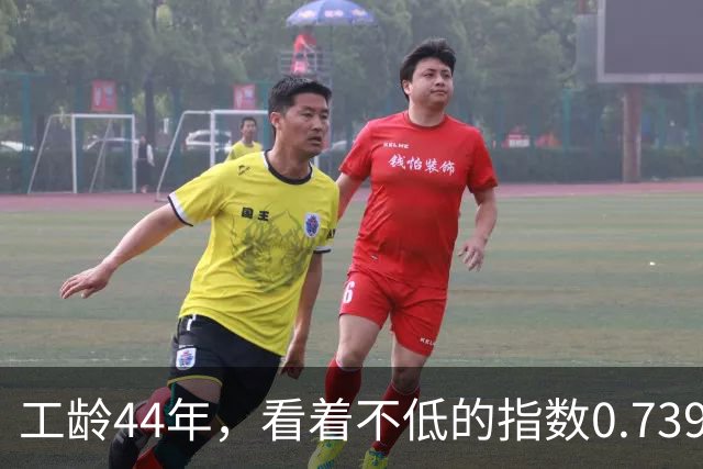 工龄44年，看着不低的指数0.7397， 湖北荆州退休，养老金能达不到一年100元吗？