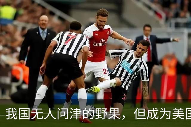 我国无人问津的野果，但成为美国人的心头宝，60元1斤供不应求？