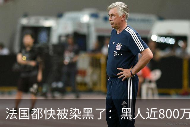 法国都快被染黑了：黑人近800万，巴黎的新生儿，黑皮肤近70%