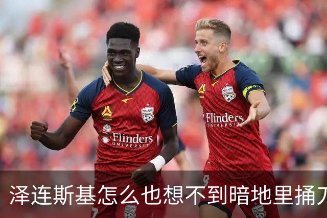 泽连斯基怎么也想不到暗地里捅刀的竟然是欧洲。