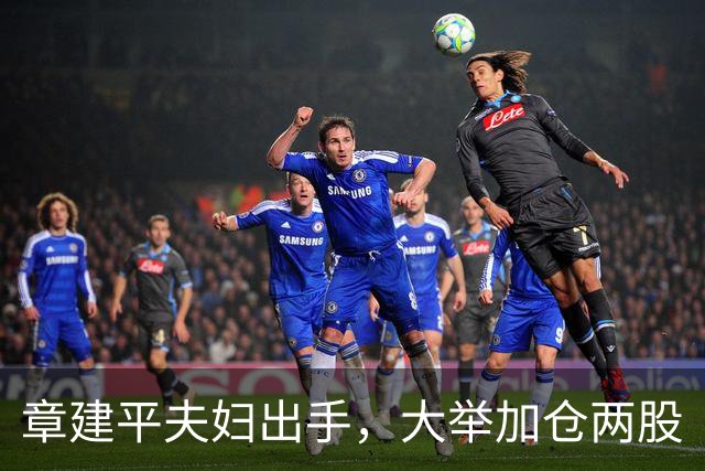 章建平夫妇出手，大举加仓两股
