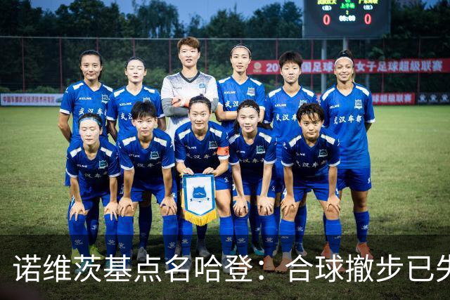 诺维茨基点名哈登：合球撤步已失控，我们那代根本没见过