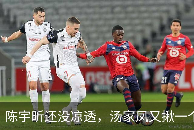 陈宇昕还没凉透，汤家凤又揪一个“精日”人员：竟然还是公司老板