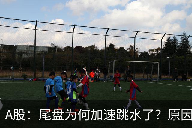 A股：尾盘为何加速跳水了？原因是这两点！明天周三或将这样走